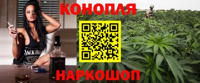 стафф Новозыбков