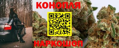 стафф Новозыбков