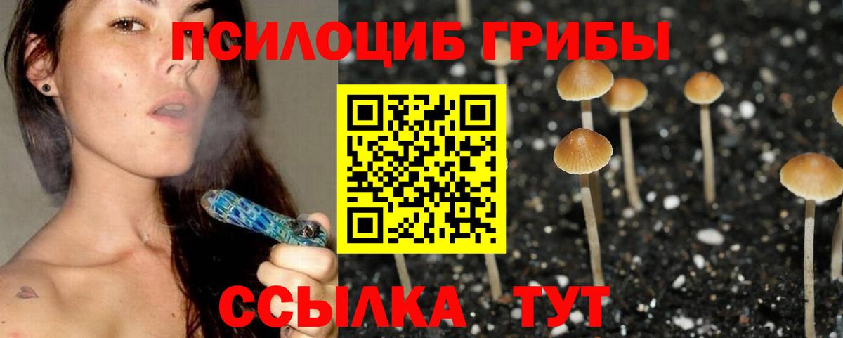 Псилоцибиновые грибы прущие грибы Серпухов